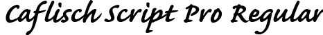 Caflisch Script Pro Regular Windows font - free for Personal