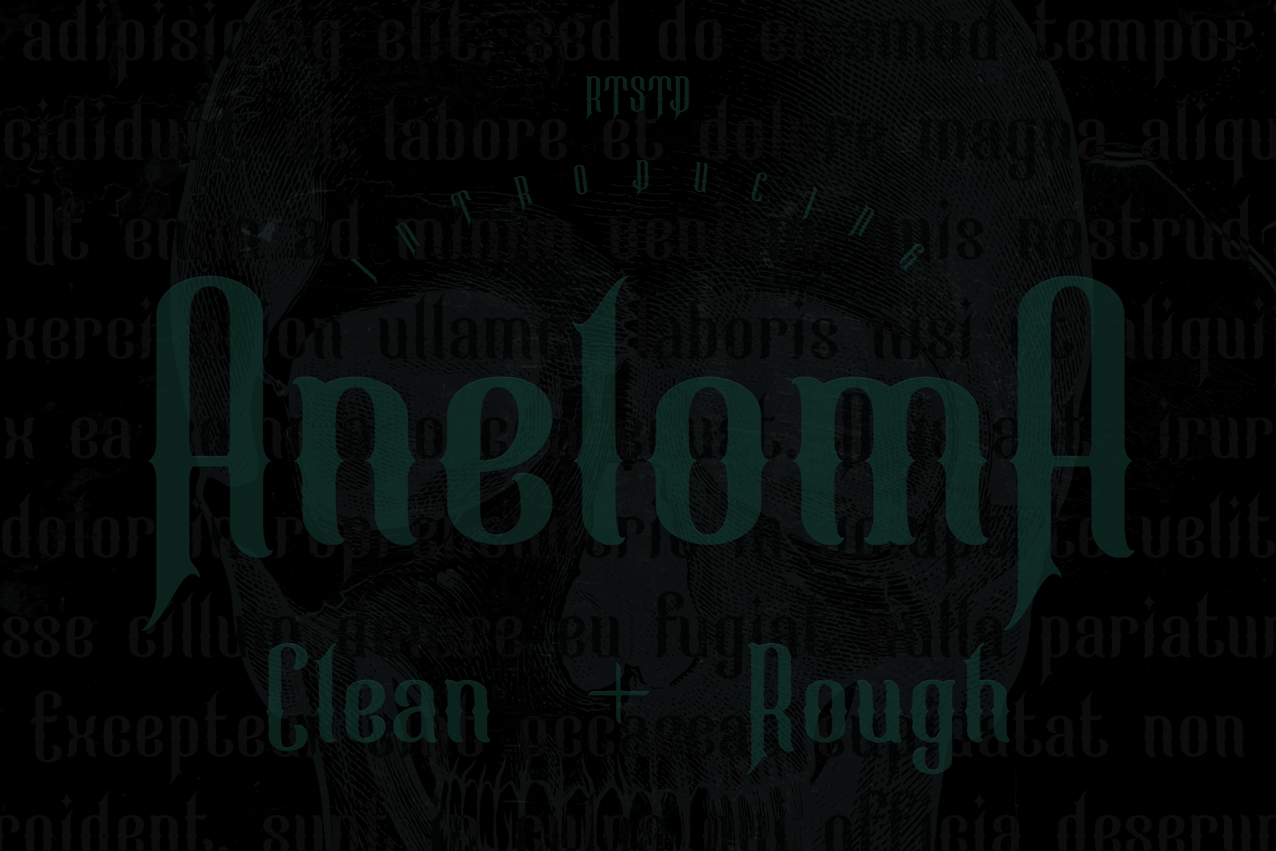 Aneloma Demo Rough