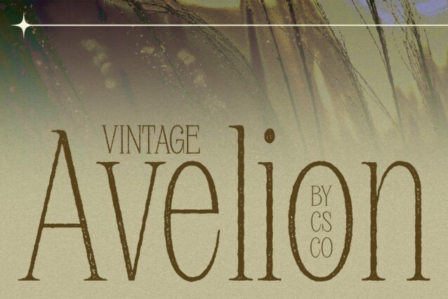 Avelion Vintage Demo Drawn