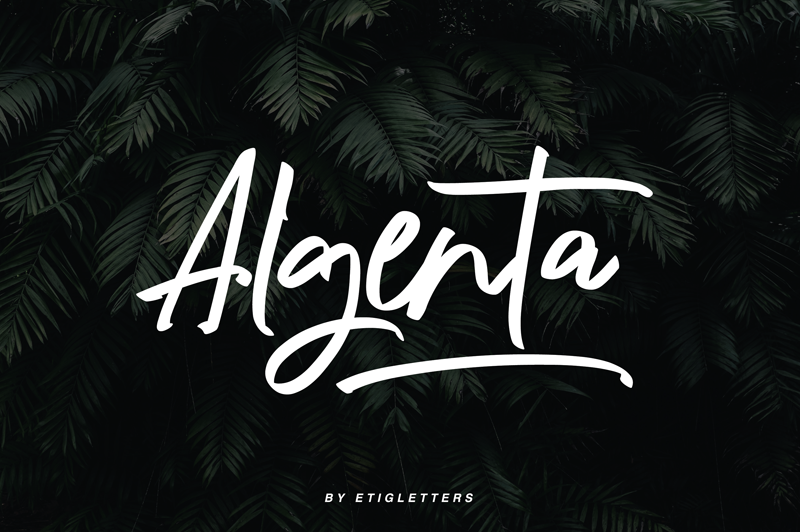 Algenta Font