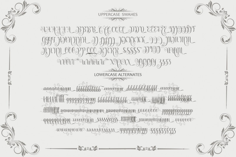Armadilla handwritten