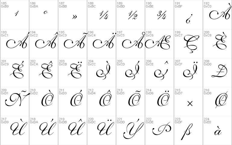 Allegretto Script Two