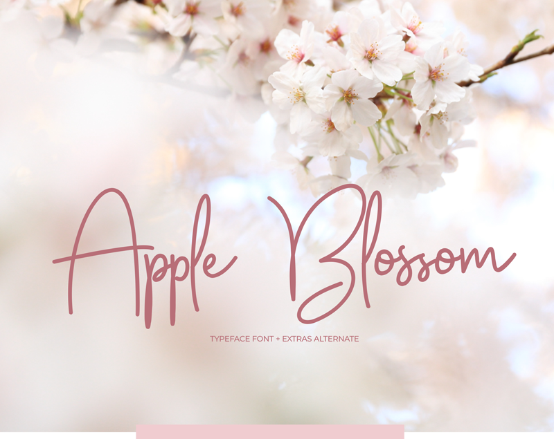 Apple Blossom