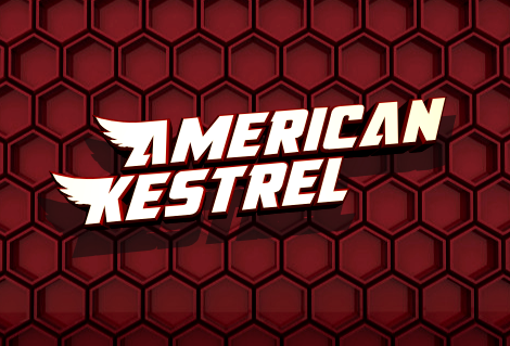 American Kestrel Straight 3D