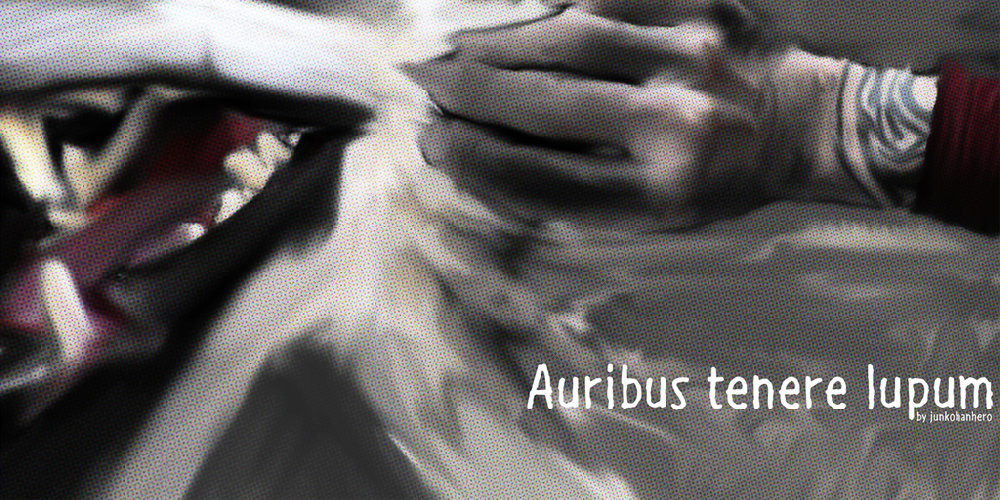 Auribus tenere lupum