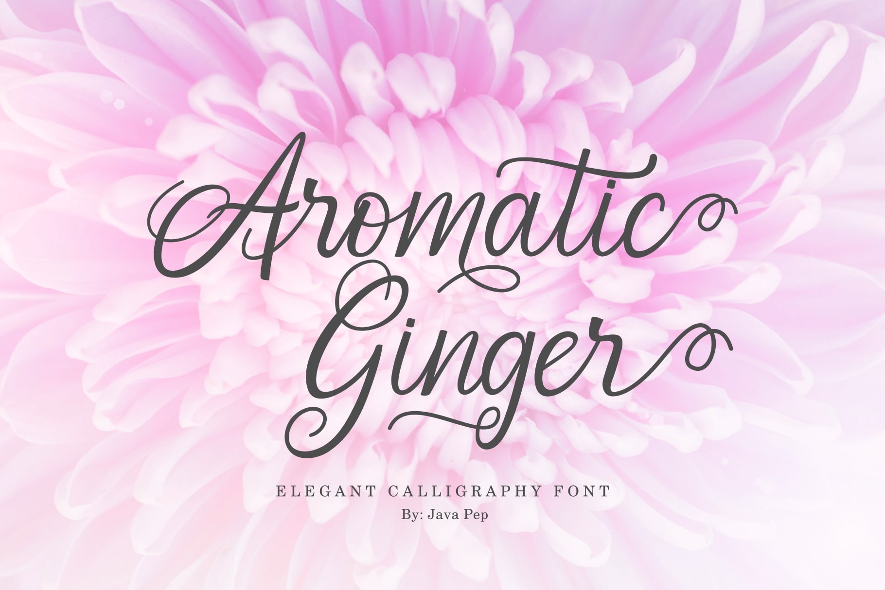 Aromatic Ginger Demo
