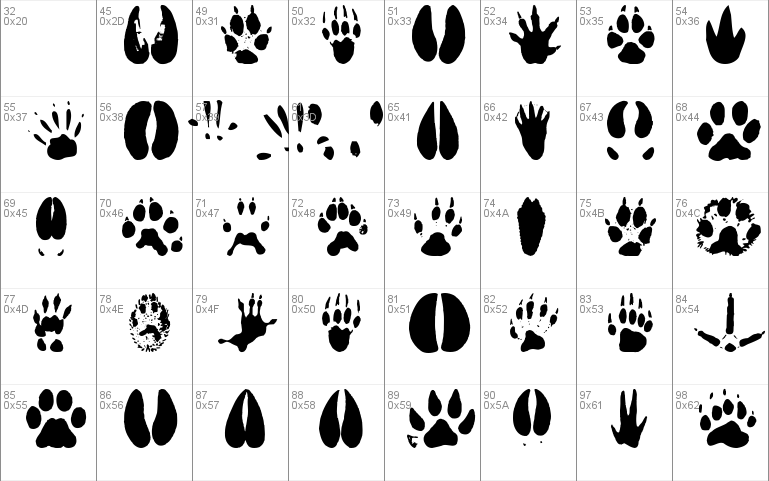 AnimalTracks