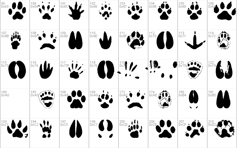 AnimalTracks