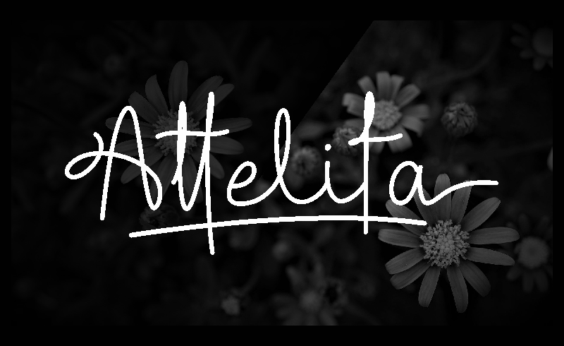 Attelita