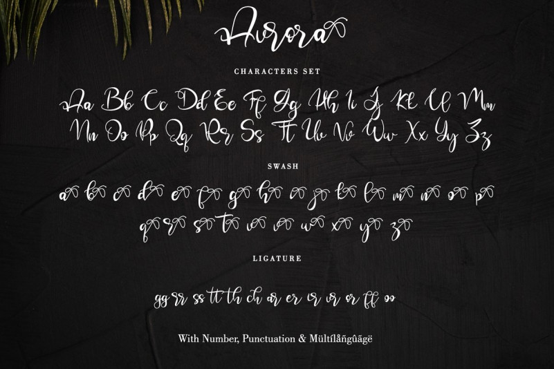 Aurora calligraphy script