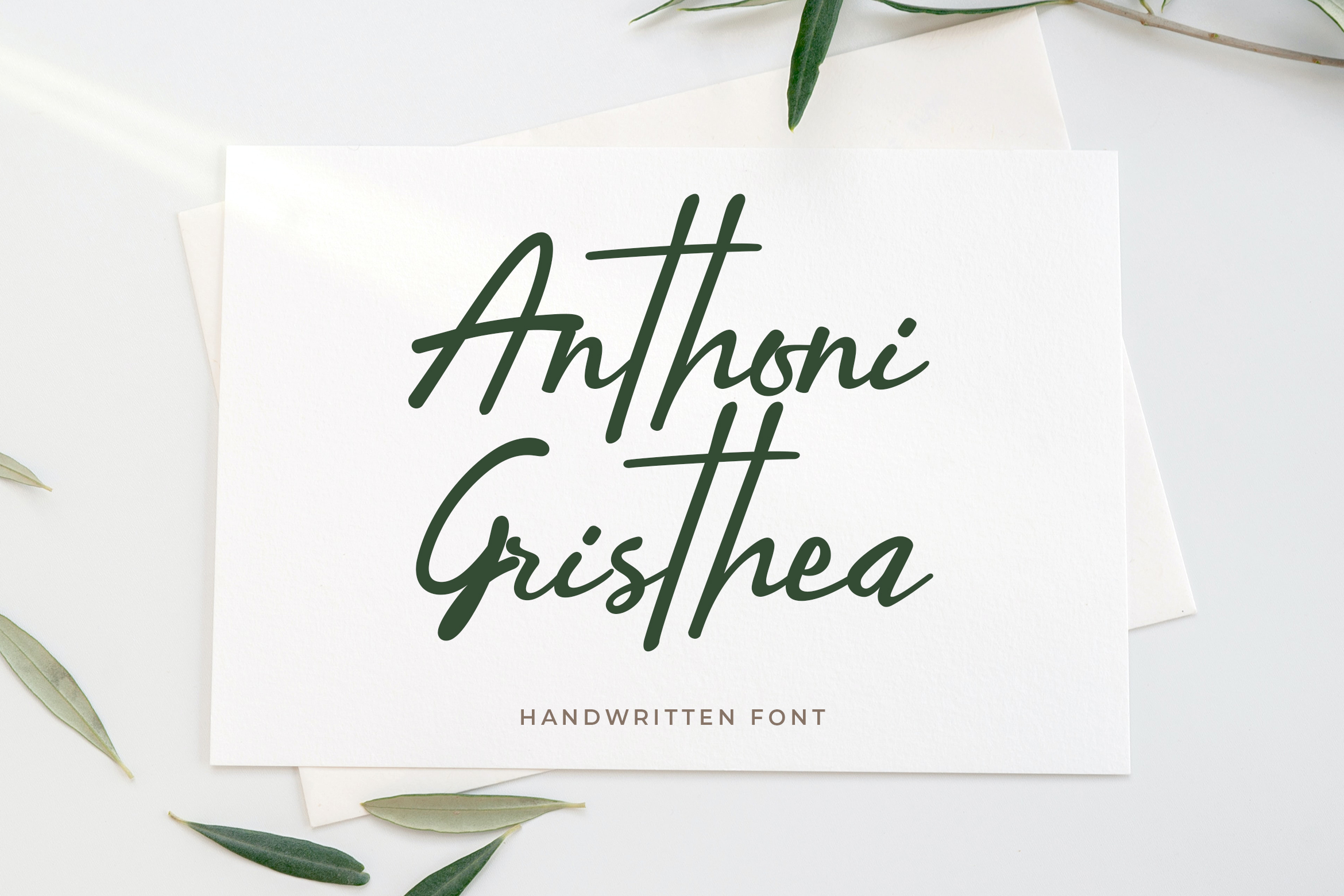 Anthoni Gristhea