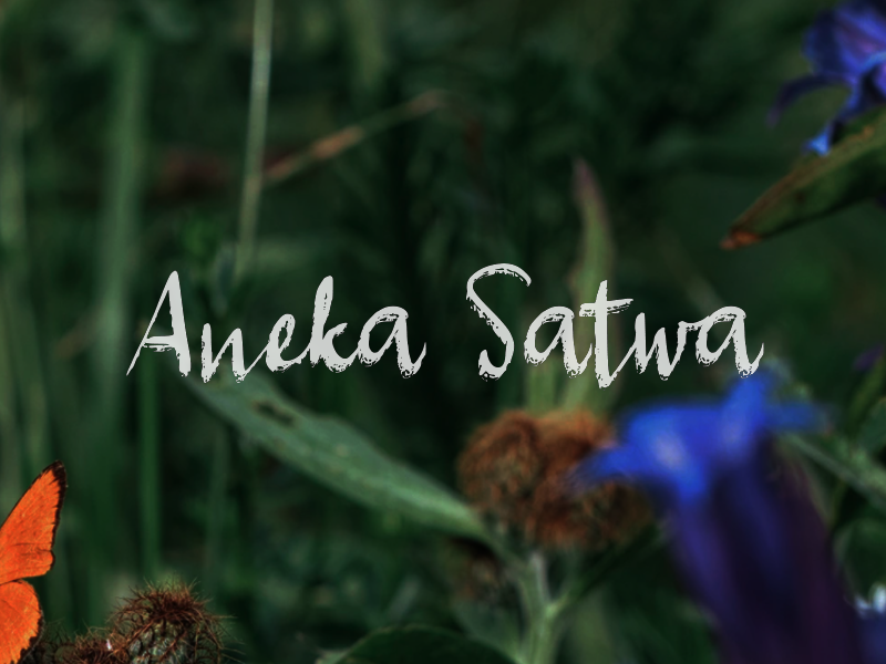 a Aneka Satwa