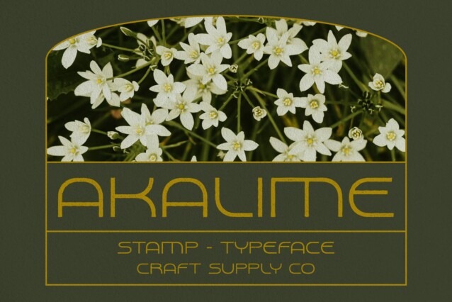Akalime Stamp Demo