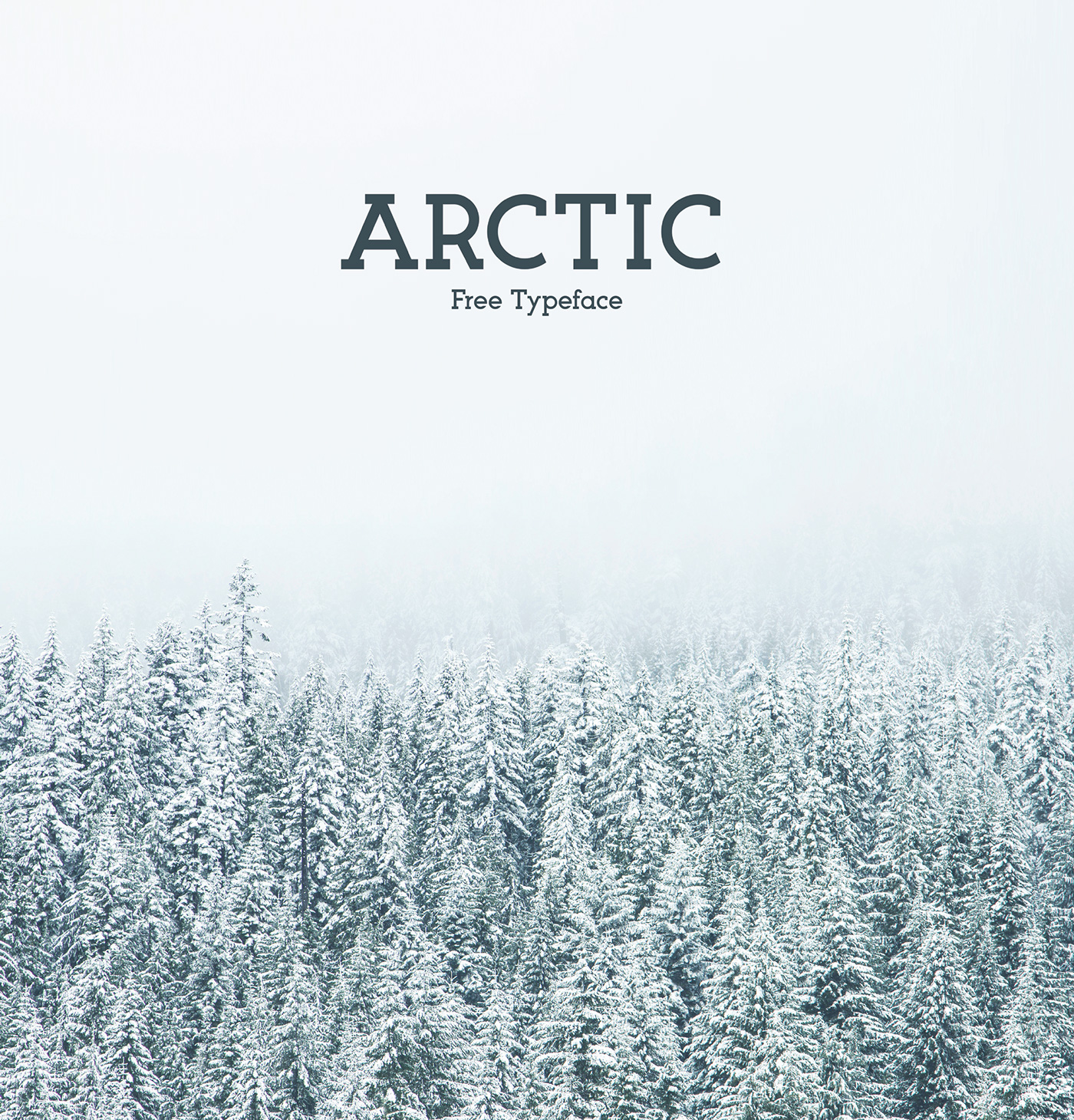 Arctic