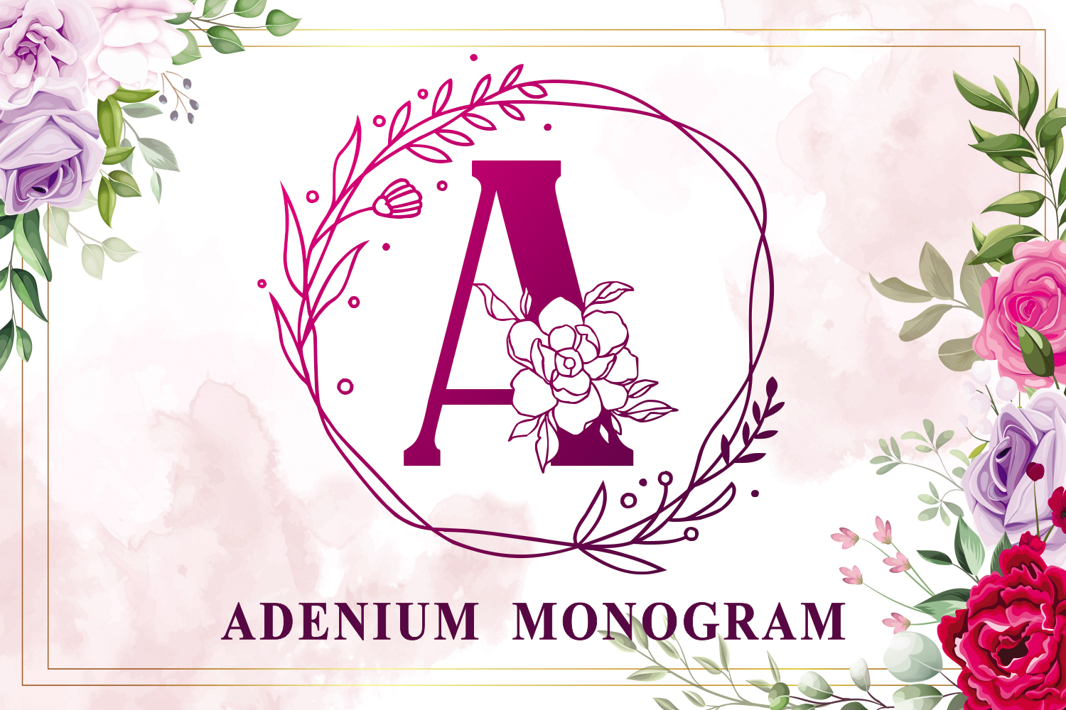 Adenium Monogram