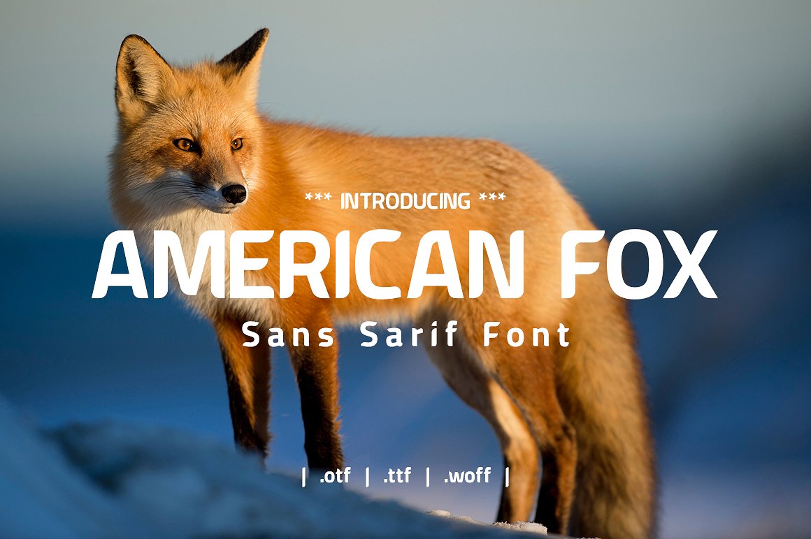 American Fox