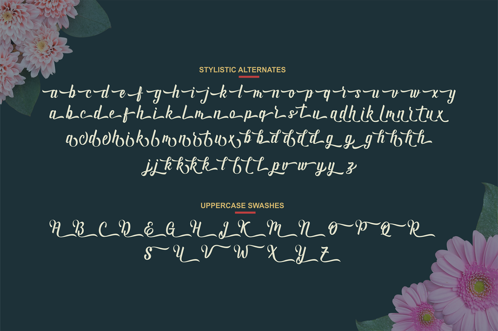 Andhyta Font Free For Personal