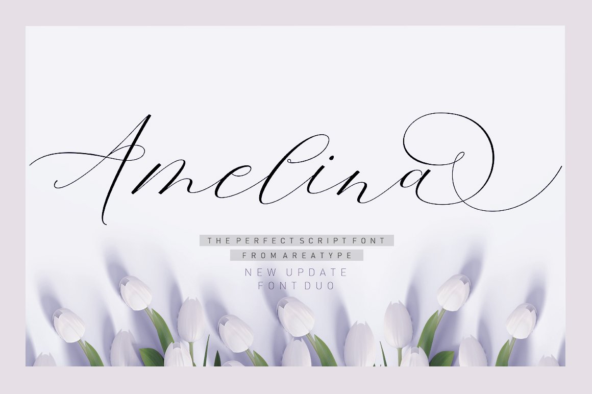 Amelina Script