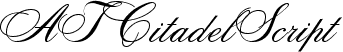 ATCitadelScript