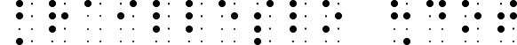 BrailleSlo 8dot