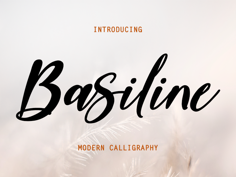 Basiline - Personal Use