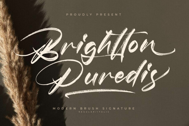 Brightton Puredis