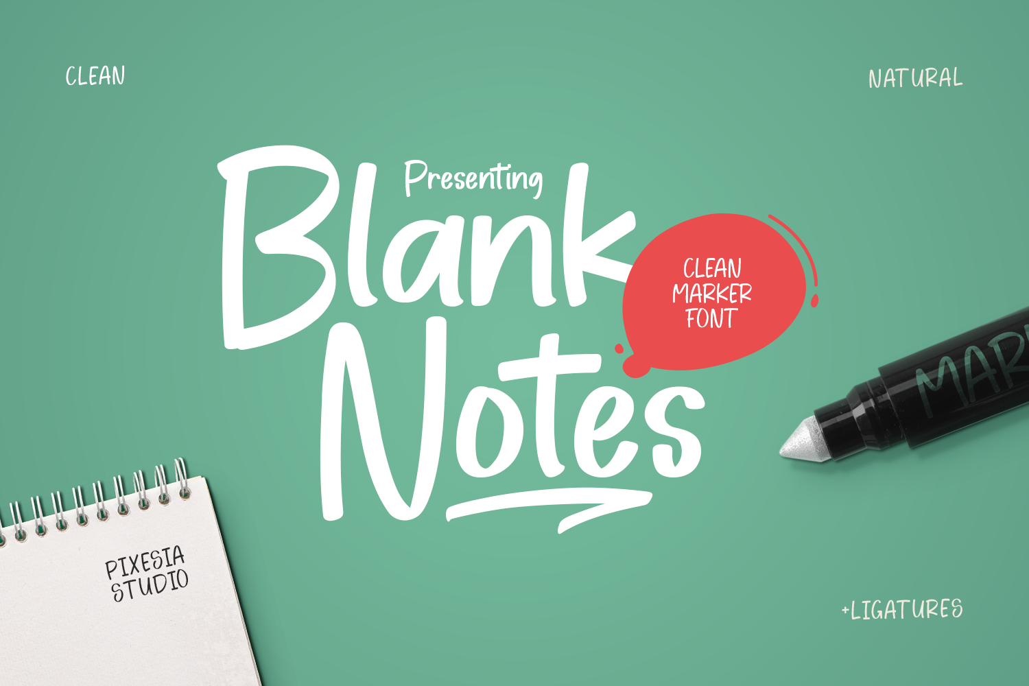 Blank Notes Demo
