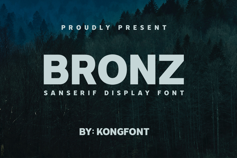 Bronz PERSONAL USE ONLY!