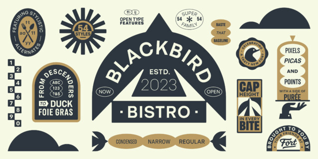 Blackbird Test Black