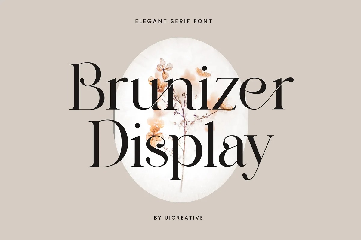 BrunizerDisplay