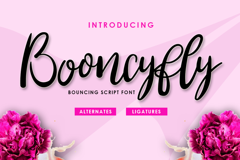 Booncyfly