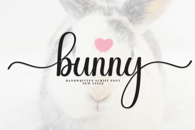 Bunny