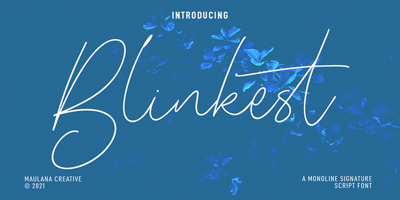 Blinkest