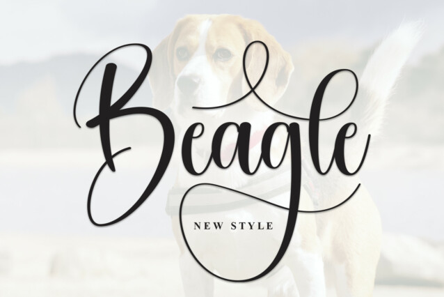 Beagle