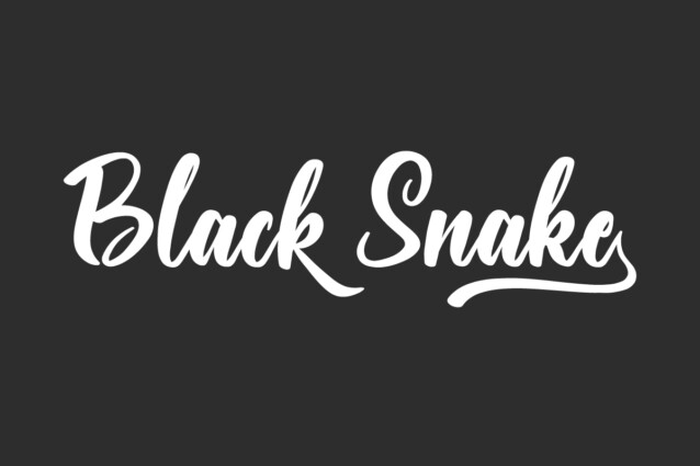 Black Snake Demo
