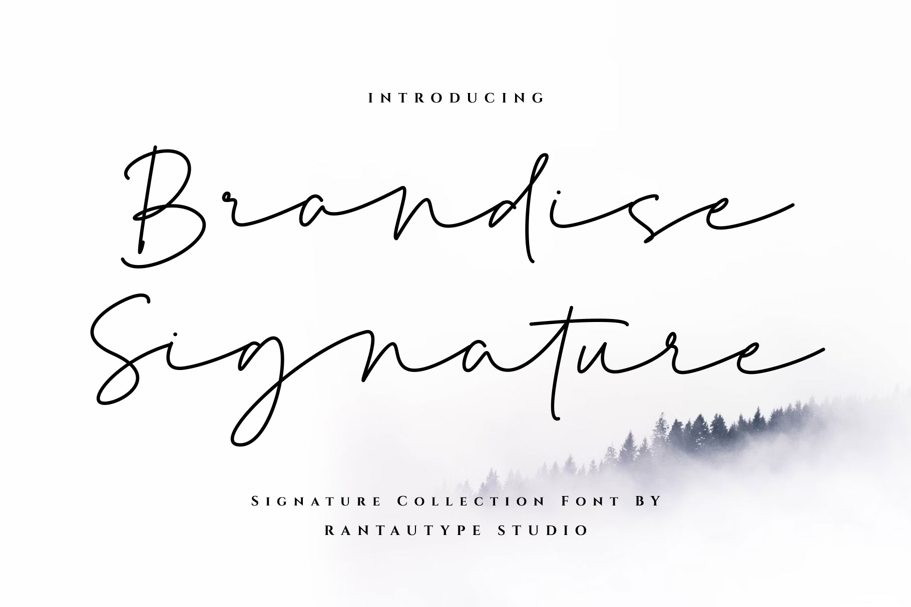 Brandise Signature