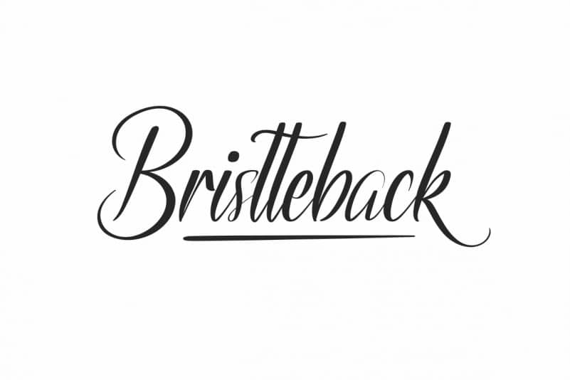 Bristteback Demo