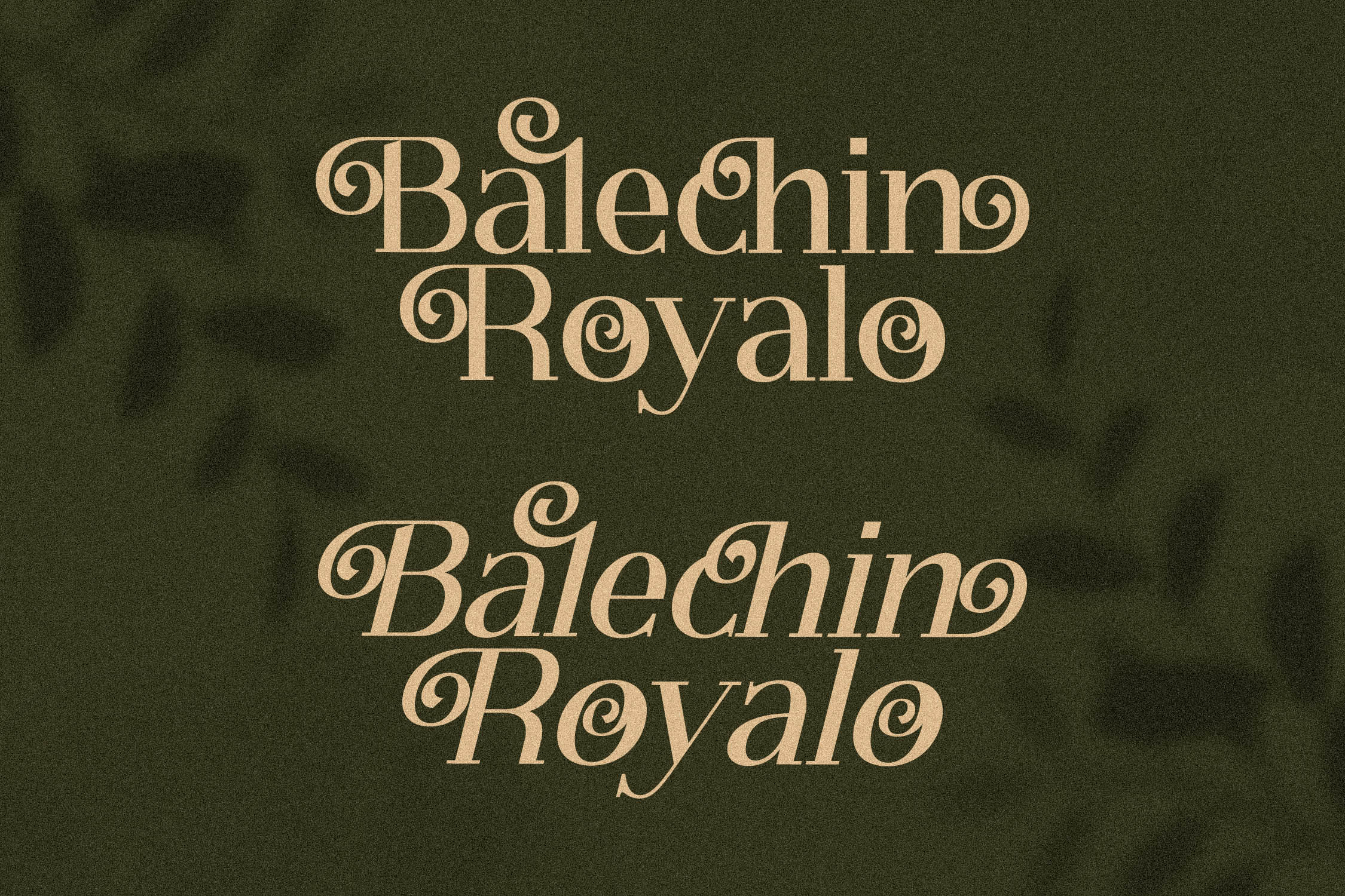 Balechin Royalo