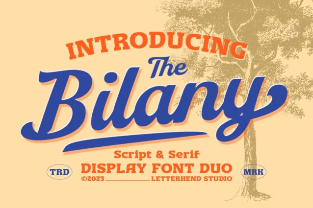 Demo Bilany Serif