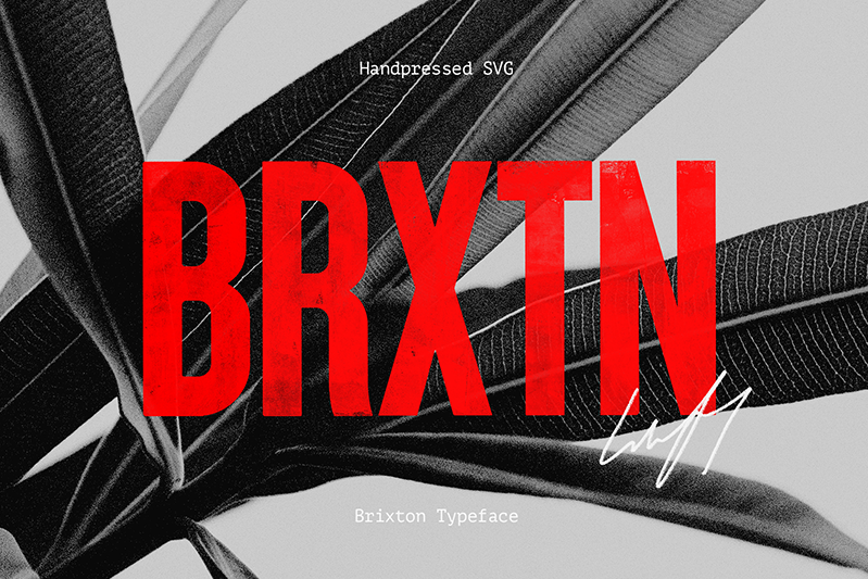 Brixton_Wood_PERSONAL_USE_ONLY