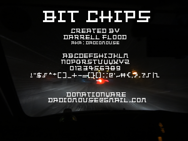 Bit Chips