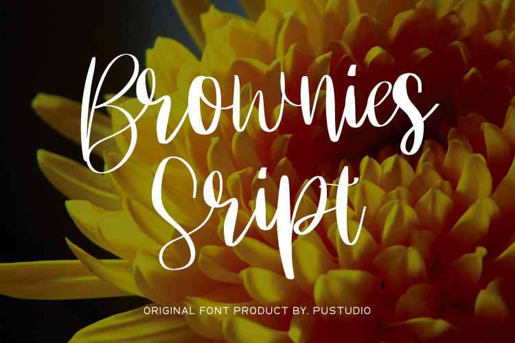 Brownies_Script