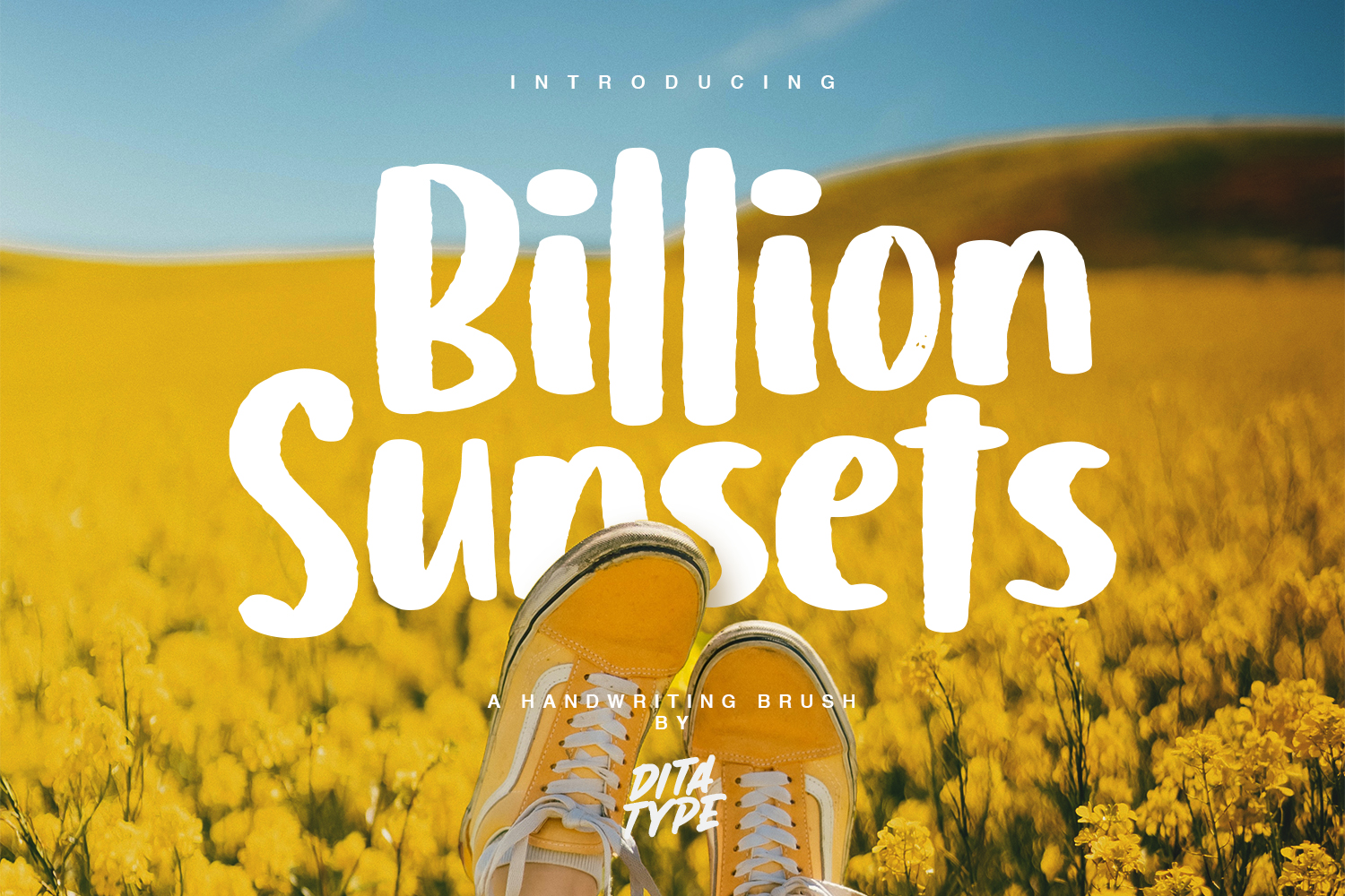 Billion Sunsets