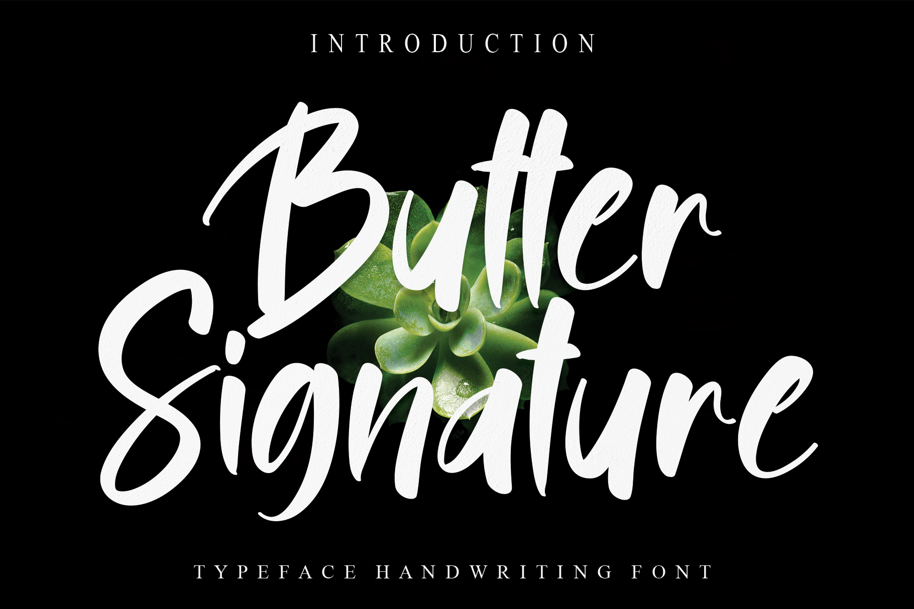 Butter Signature