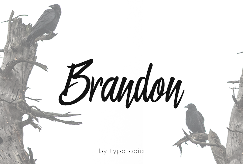 Brandon calligraphy