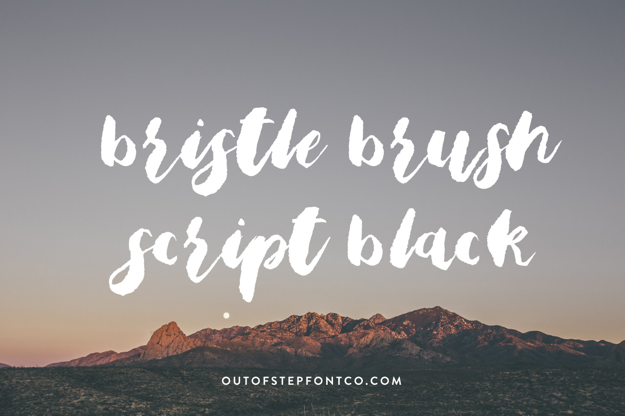 Bristle Brush Script Black Demo