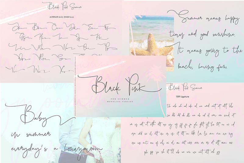 Black Pink Summer script