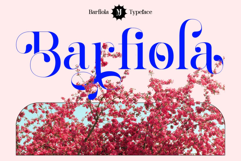 Barfiola FREE FOR PERSONAL USE 