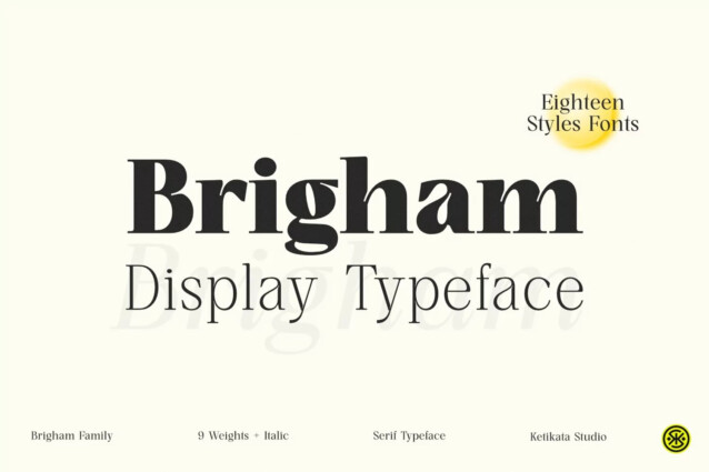 Brigham Display Demo