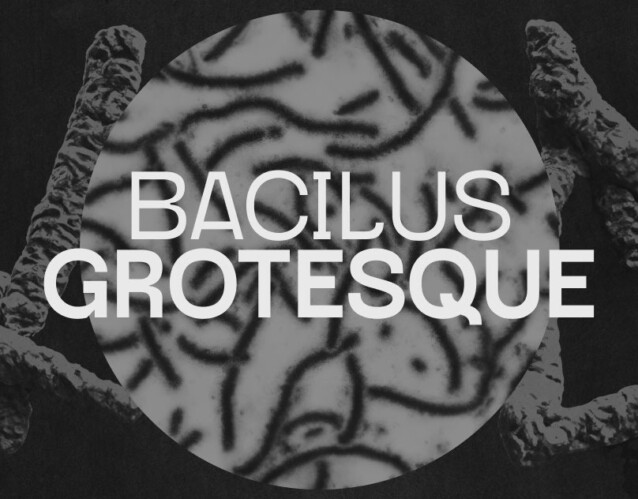 Bacilus Grotesque Black